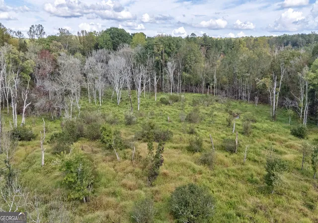 Homes for sale in Watkinsville, GA | 0 Old Salem Rd #TRACT 4, Watkinsville, GA 30677 | MLS# 10794819