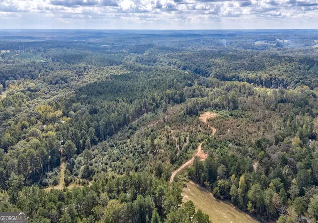 Homes for sale in Watkinsville, GA | 0 Old Salem Rd #TRACT 4, Watkinsville, GA 30677 | MLS# 10794819