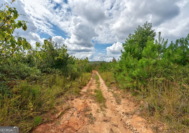 Homes for sale in Watkinsville, GA | 0 Old Salem Rd #TRACT 4, Watkinsville, GA 30677 | MLS# 10794819