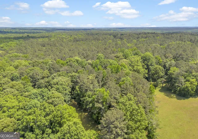 3rd image of 0 Lot C Pitts Chapel Rd, Monticello, GA 31064 | MLS# 10766110