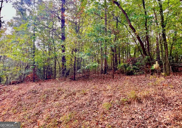 Photo 1 of Land for sale at 415 Chatawa Ct, Ellijay, GA 30540 | MLS# 10415829 | Listing updated on 2026-04-30