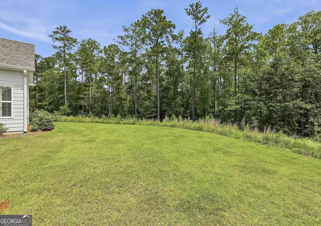 39th image of 260 Redhaven Dr, Senoia, GA 30276 | MLS# 10792688