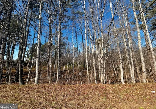 Photo 1 of Land for sale at 2013 Lake Paradise Rd, Villa Rica, GA 30180 | MLS# 10822430 | Listing updated on 2026-09-10