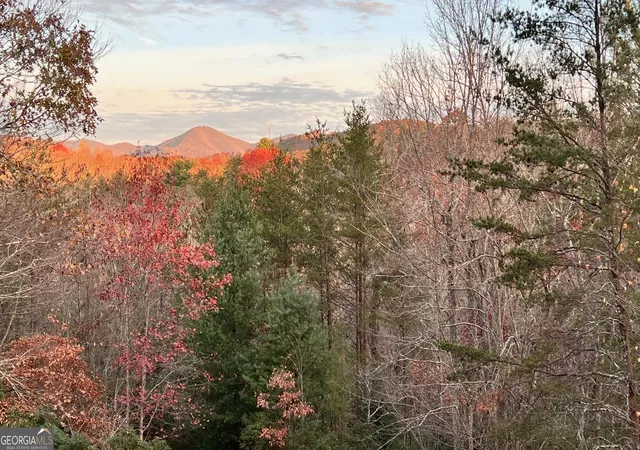 2nd image of 1036 Wards Creek Dr, Dahlonega, GA 30533 | MLS# 10631901