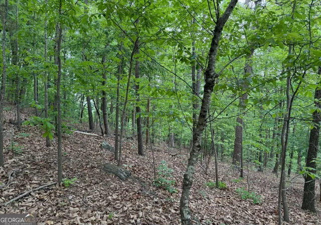 17th image of 766 Fenwood Trl, Marietta, GA 30062 | MLS# 10766221