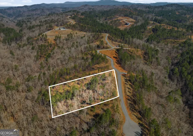 22nd image of Lot 239 Spear Point Dr, Talking Rock, GA 30175 | MLS# 10715593