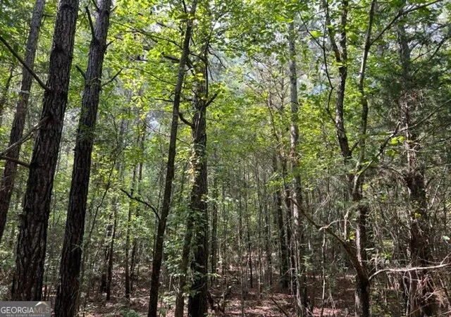 Photo 1 of Land for sale at 0 Lipham Rd, Franklin, GA 30217 | MLS# 10830954 | Listing updated on 2026-09-04