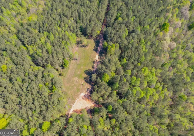 Photo 2 of Land for sale at 0 Lipham Rd, Franklin, GA 30217 | MLS# 10830954 | Listing updated on 2026-09-04