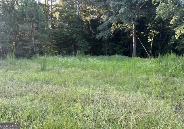 1st image of 0 Tony Dr, Hartwell, GA 30643 | MLS# 10828113
