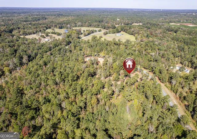 15th image of 1081 Eagle Way Dr, Greensboro, GA 30642 | MLS# 10619661