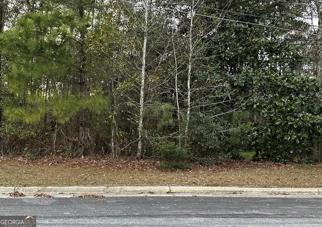 3rd image of Na Marcia Ave, Thomasville, GA 31792 | MLS# 10609831