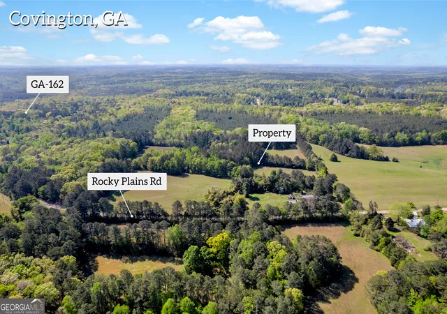 2nd image of 1025 Rocky Plains Rd, Covington, GA 30016 | MLS# 10729240