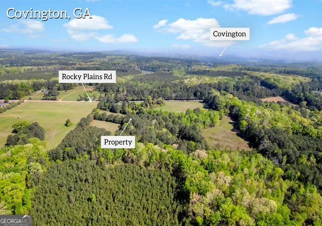 4th image of 1025 Rocky Plains Rd, Covington, GA 30016 | MLS# 10729240