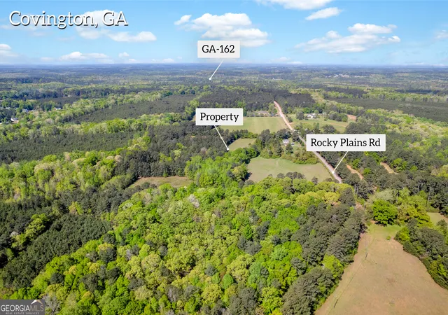 5th image of 1025 Rocky Plains Rd, Covington, GA 30016 | MLS# 10729240