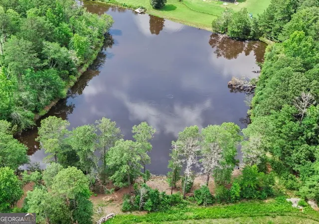 45th image of 96 Whites Pond Rd, Moreland, GA 30259 | MLS# 10805393