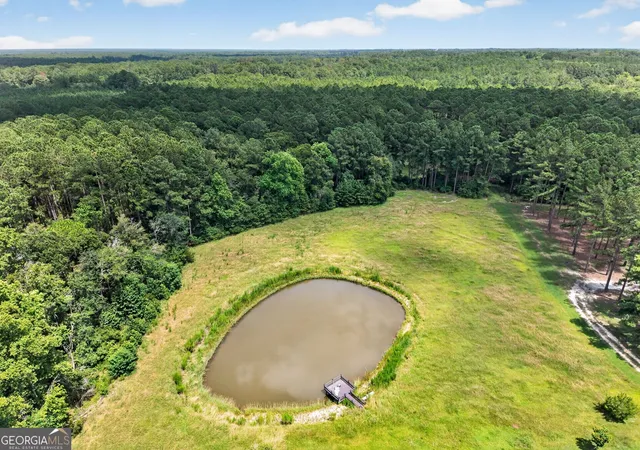 56th image of 1293 Pine Ridge Dr, Claxton, GA 30417 | MLS# 10818531