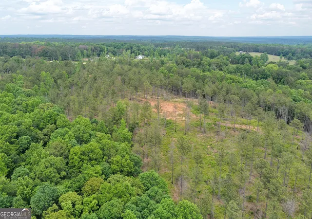 Photo 13 of Land for sale at 140+/  Ac Hwy 100, Franklin, GA 30217 | MLS# 10561627 | Listing updated on 2026-05-12