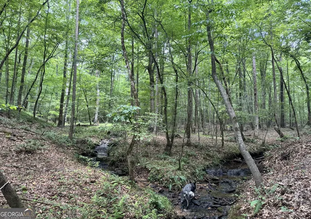 Photo 1 of Land for sale at 140+/  Ac Hwy 100, Franklin, GA 30217 | MLS# 10561627 | Listing updated on 2026-05-12