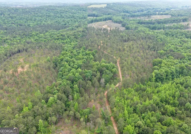 Photo 2 of Land for sale at 140+/  Ac Hwy 100, Franklin, GA 30217 | MLS# 10561627 | Listing updated on 2026-05-12
