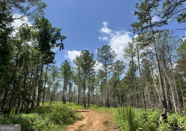 Photo 3 of Land for sale at 140+/- Ac Hwy 100, Franklin, GA 30217 | MLS# 10561627 | Listing updated on 2026-09-28