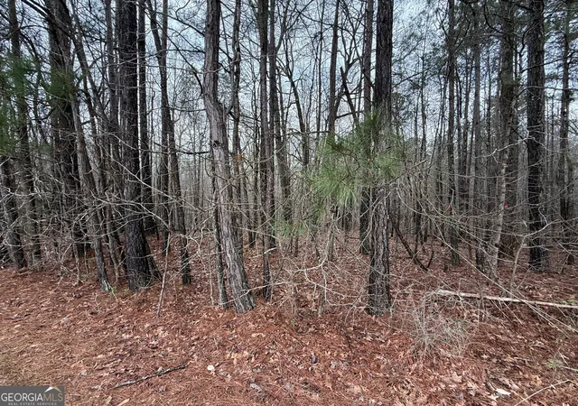 Homes for sale in Luthersville, GA | 0 Cheryl St #LOTS 37,38,39, Luthersville, GA 30251 | MLS# 10708718
