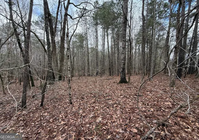 Homes for sale in Luthersville, GA | 0 Cheryl St #LOTS 37,38,39, Luthersville, GA 30251 | MLS# 10708718