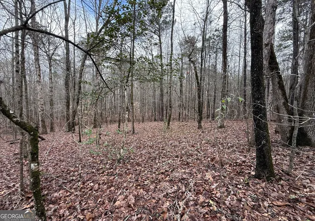 Homes for sale in Luthersville, GA | 0 Cheryl St #LOTS 37,38,39, Luthersville, GA 30251 | MLS# 10708718