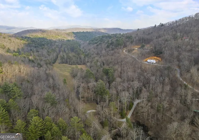 Homes for sale in Cherry Log, GA | 77 Old Covered Bridge Rd, Cherry Log, GA 30522 | MLS# 10722911