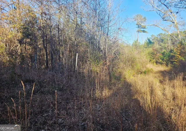 7th image of 2199 Rehoboth Rd, Griffin, GA 30224 | MLS# 10648677