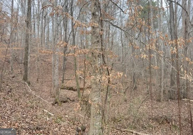 Photo 3 of Land for sale at 00 Lot 4 Helton Rd, Winston, GA 30187 | MLS# 10708136 | Listing updated on 2026-03-25