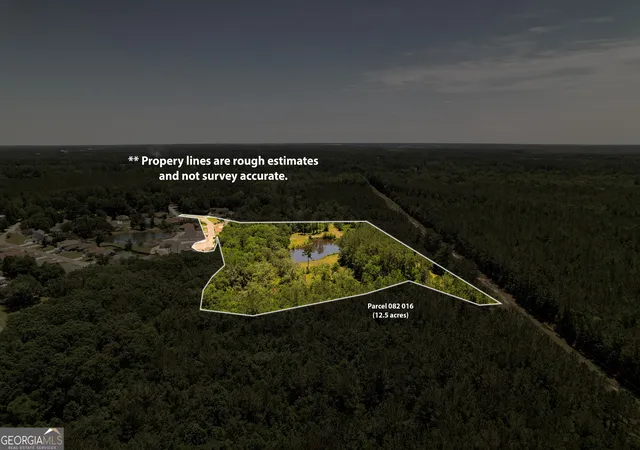 Photo 3 of Land for sale at 0 Acres Kingsland W Of Hwy 17, Kingsland, GA 31548 | MLS# 10483835 | Listing updated on 2026-07-16