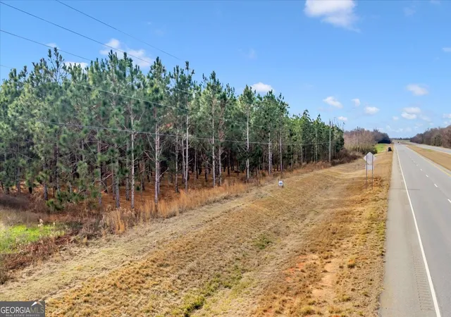 23rd image of 341/49 Hwy, Fort Valley, GA 31030 | MLS# 10811492