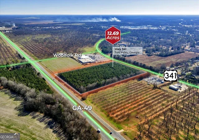 2nd image of 341/49 Hwy, Fort Valley, GA 31030 | MLS# 10811492