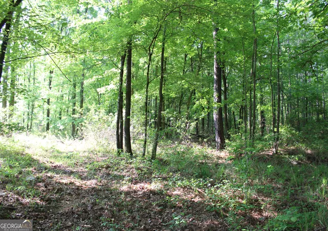 1st image of 0 Ga Hwy 87 Tract 1, Forsyth, GA 31029 | MLS# 10772366