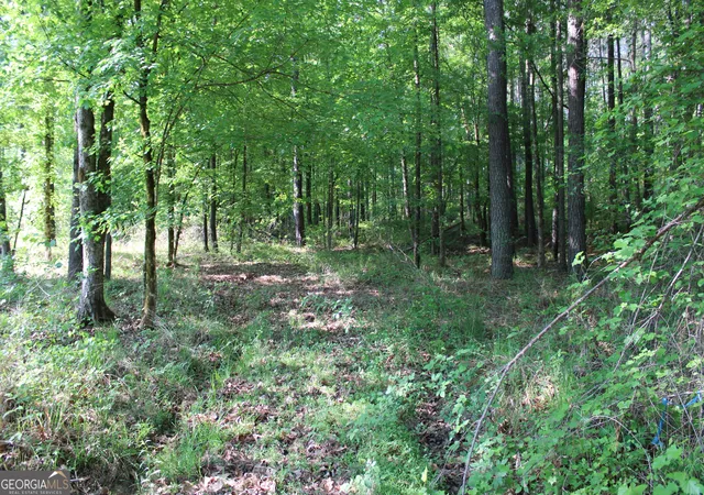 2nd image of 0 Ga Hwy 87 Tract 1, Forsyth, GA 31029 | MLS# 10772366