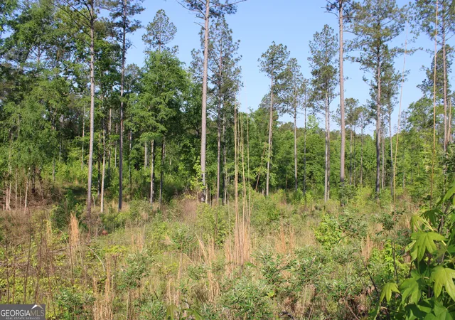 Photo 3 of Land for sale at 0 Ga Hwy 87 Tract 1, Forsyth, GA 31029 | MLS# 10772366 | Listing updated on 2026-06-10