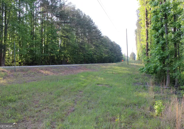 Photo 3 of House for sale at 0 Ga Hwy 87 Tract 1, Forsyth, GA 31029 | MLS# 10772366 | Listing updated on 2026-06-10