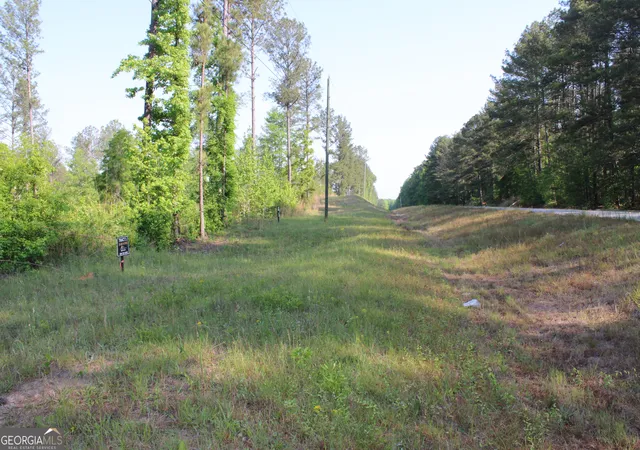Photo 4 of House for sale at 0 Ga Hwy 87 Tract 1, Forsyth, GA 31029 | MLS# 10772366 | Listing updated on 2026-06-10