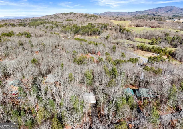 51st image of 425 Enchanted Woods Dr, Blairsville, GA 30512 | MLS# 10781060