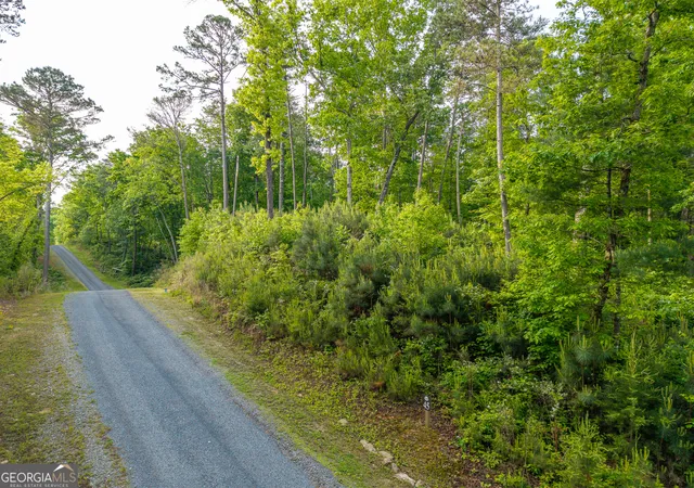 Photo 2 of Land for sale at Lot 45 Hilton Dr, Ellijay, GA 30540 | MLS# 10760664 | Listing updated on 2026-08-21