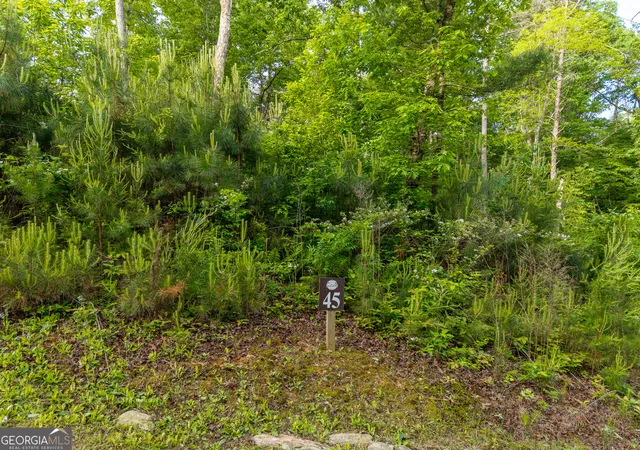 Photo 3 of Land for sale at Lot 45 Hilton Dr, Ellijay, GA 30540 | MLS# 10760664 | Listing updated on 2026-08-21