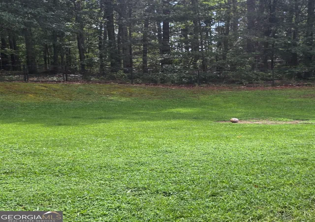 5th image of 330 Hayward Bishop Wy, Senoia, GA 30276 | MLS# 10815298
