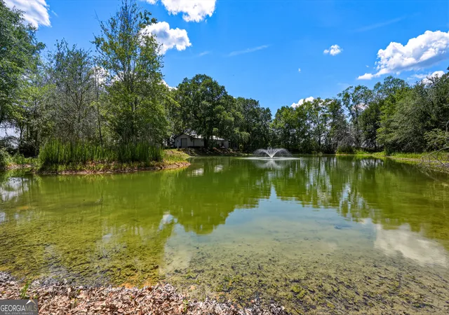 43rd image of 0 Ritch Church Rd, Screven, GA 31560 | MLS# 10774518