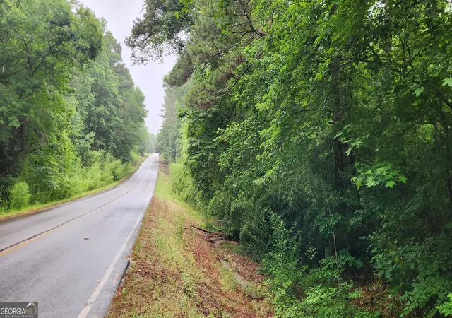 19th image of 1136 Dolly Nixon Rd, Senoia, GA 30276 | MLS# 10773920