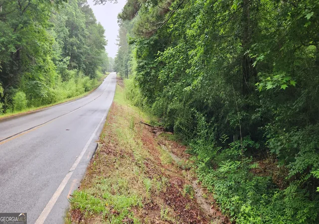 Photo 3 of Land for sale at 1136 Dolly Nixon Rd, Senoia, GA 30276 | MLS# 10773920 | Listing updated on 2026-09-12