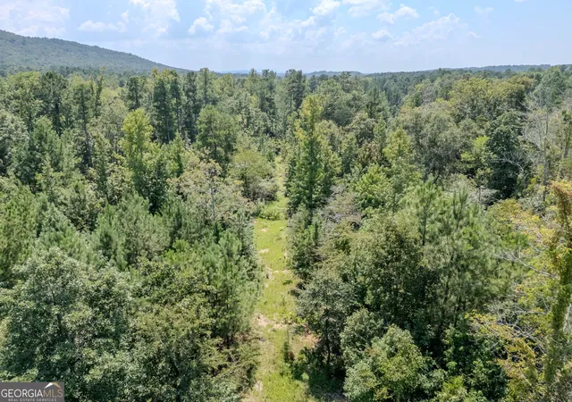 4th image of 0 Radio Springs Rd Sw, Rome, GA 30165 | MLS# 10726937
