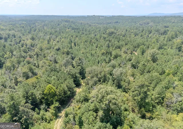 8th image of 0 Radio Springs Rd Sw, Rome, GA 30165 | MLS# 10726937