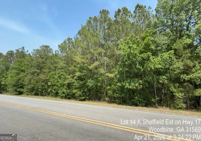 Photo 3 of Land for sale at Lot 14 K Sheffield Est On Hwy 17, Woodbine, GA 31569 | MLS# 10755541 | Listing updated on 2026-05-15