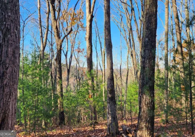 Photo 3 of Land for sale at 0 Lot 18 Meadowlands Dr, Talking Rock, GA 30175 | MLS# 10781381 | Listing updated on 2026-06-22