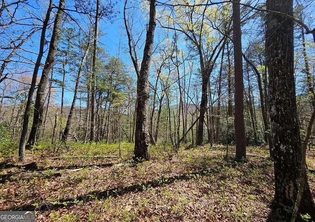 1st image of 522 Deer Crest Rd, Blue Ridge, GA 30513 | MLS# 10287677